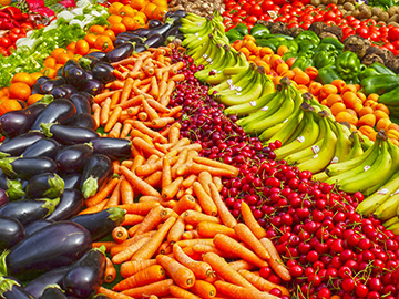 Why Nutrition Is So Important